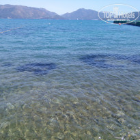 фото из отзыва ID 1176867