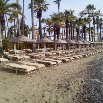 фото из отзыва ID 1176867