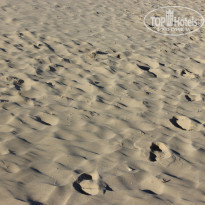 фото из отзыва ID 1176893