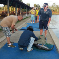 фото из отзыва ID 1176366