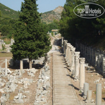 фото из отзыва ID 1174826