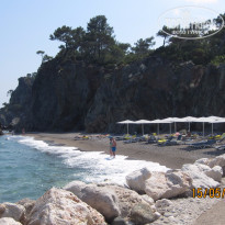 фото из отзыва ID 1177300