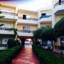 фото из отзыва ID 1177370