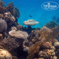 фото из отзыва ID 1177616