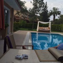 фото из отзыва ID 1177876