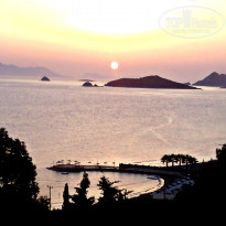 фото из отзыва ID 1178108