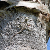 фото из отзыва ID 1178551