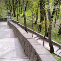 фото из отзыва ID 1178558