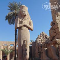 фото из отзыва ID 1178567