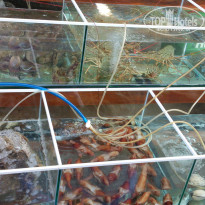 фото из отзыва ID 1178645