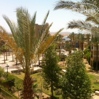 фото из отзыва ID 1178754