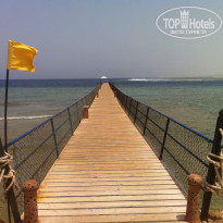 фото из отзыва ID 1178754