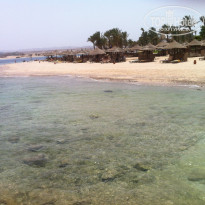 фото из отзыва ID 1178754