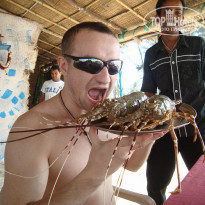 фото из отзыва ID 1178806