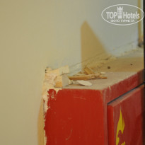 фото из отзыва ID 1179007