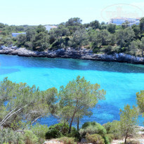 фото из отзыва ID 1178997