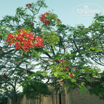 фото из отзыва ID 1179328