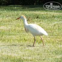 фото из отзыва ID 1179592