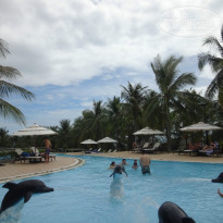 фото из отзыва ID 1178124