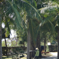 фото из отзыва ID 1178124