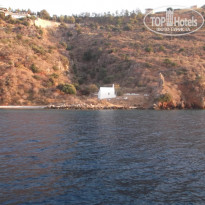 фото из отзыва ID 1179640