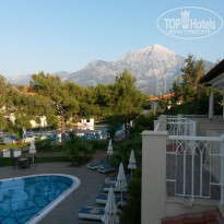 фото из отзыва ID 1178817