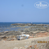 фото из отзыва ID 1179705