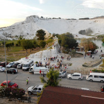 фото из отзыва ID 1179772