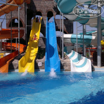 фото из отзыва ID 1172598