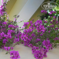 фото из отзыва ID 1177841