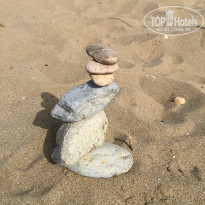 фото из отзыва ID 1177532