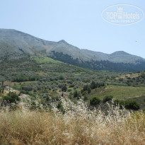 фото из отзыва ID 1179938