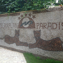 фото из отзыва ID 1178370