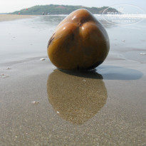 фото из отзыва ID 1179875