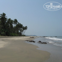 фото из отзыва ID 1179875