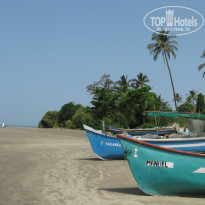 фото из отзыва ID 1179875