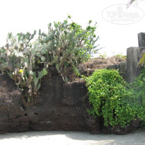 фото из отзыва ID 1179875