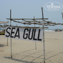 фото из отзыва ID 1179875