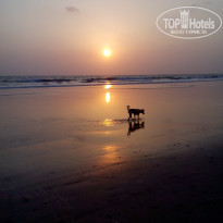 фото из отзыва ID 1179875