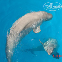 фото из отзыва ID 1170045