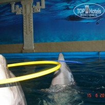 фото из отзыва ID 1170045