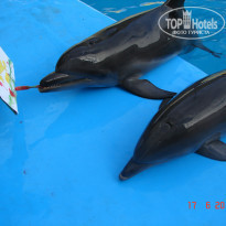 фото из отзыва ID 1170045