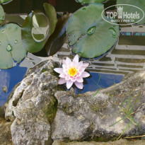 фото из отзыва ID 1173398