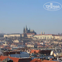 фото из отзыва ID 118147