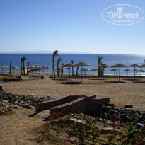 фото из отзыва ID 118303