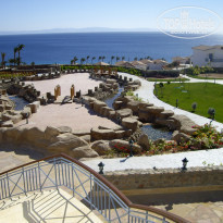 фото из отзыва ID 118303