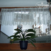 фото из отзыва ID 118539