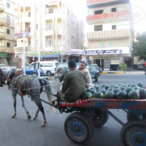 фото из отзыва ID 1180008