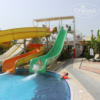 фото из отзыва ID 1180343