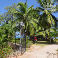 фото из отзыва ID 1180489